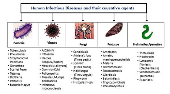 What Disease Does Sam Sadler Suffer From? YouTuber Medical Condition Explained